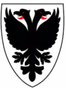 Logo AFC Wimbledon Women